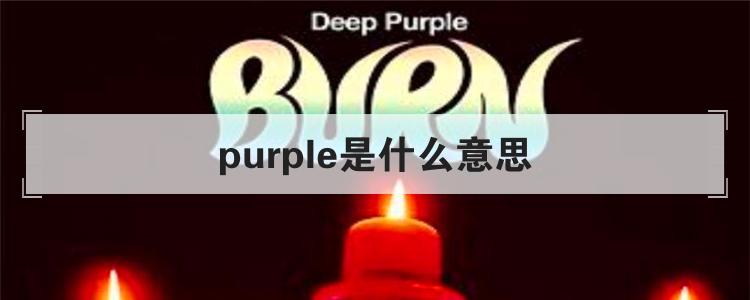 purple是什么意思
