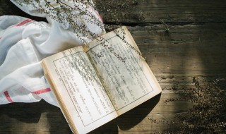 成语扬名立万是什么意思(扬名立万的含义)