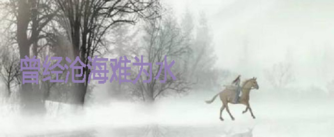 曾经沧海难为水是什么意思？
