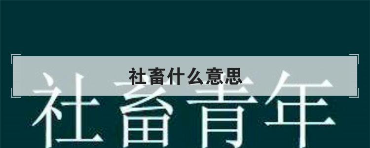 社畜什么意思