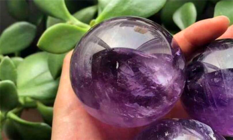 purple是什么意思