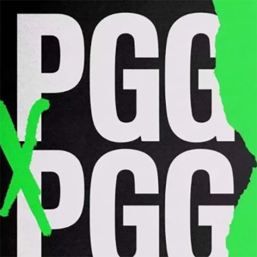 pgg战队是哪个国家的？