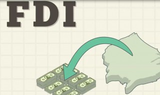 fdi什么意思(fdi的含义)
