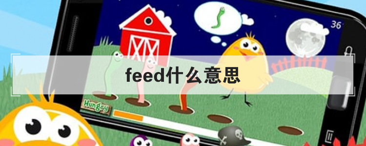 feed什么意思