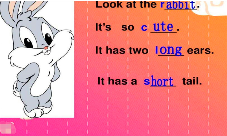 tail是什么意思英语