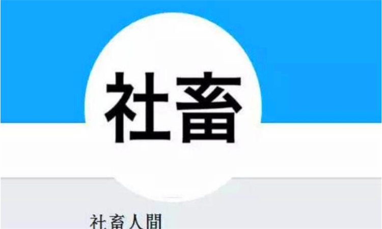 社畜什么意思