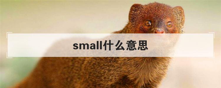 small什么意思
