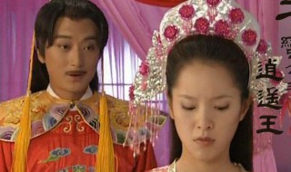 刁蛮公主逍遥王主题曲是什么(大家一起来了解下吧)