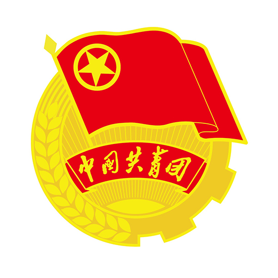 团的全国代表大会几年举行一次？
