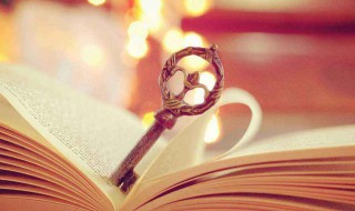 pulse什么意思(pulse解释)