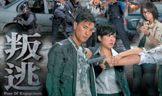 叛逃大结局(剧情是什么)