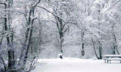 winter是什么意思