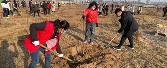 植树节的来历是什么？