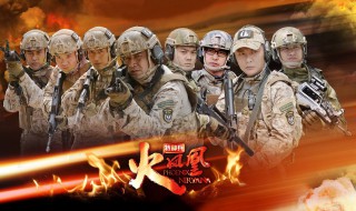 特种兵之火凤凰主题曲是什么(特种兵之火凤凰主题曲是什么详解)