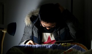 郑的组词(郑组词精选)