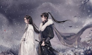 天涯客简介(小说天涯客内容简介)