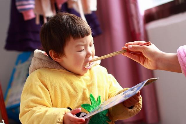feed什么意思