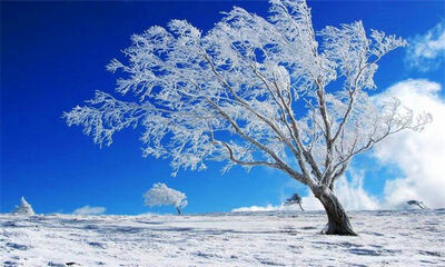 winter是什么意思