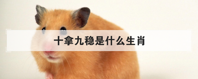 十拿九稳是什么生肖
