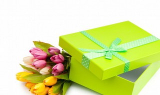郁金香的花语是什么意思(郁金香有什么寓意)