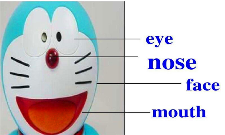 mouth是什么意思