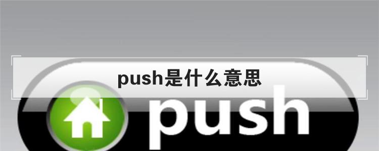 push是什么意思