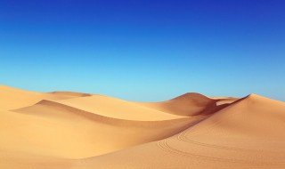 世界上最大的沙漠是什么(撒哈拉沙漠面积有多大