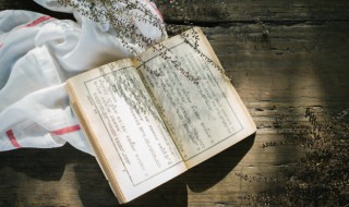 鸢是什么意思(鸢具体是什么意思)