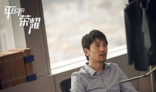 平凡的荣耀结局剧情(平凡的荣耀大结局剧情介绍)