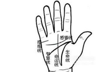如何看手纹识手相
