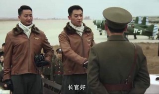 远去的飞鹰剧情简介(剧情详细介绍)