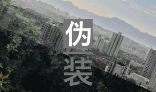 我伪装的很简单是什么歌(歌曲伪装介绍)