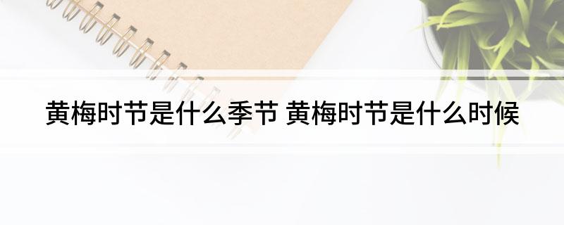 黄梅时节是什么季节(黄梅时节是什么时候)