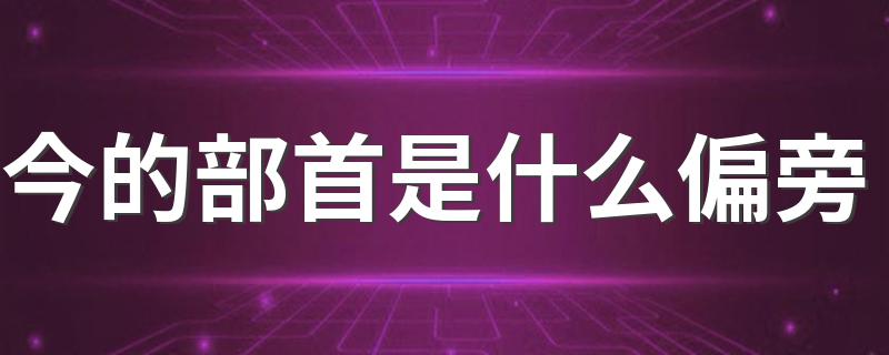 部首介绍_今的部首是什么偏旁