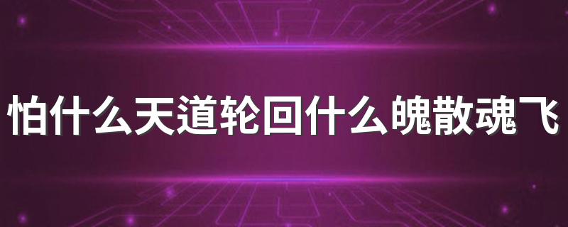 大天蓬完整歌词_怕什么天道轮回什么魄散魂飞什