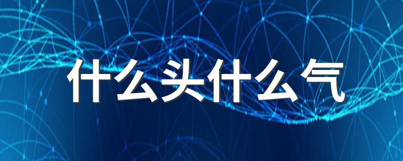 分别是什么意思_什么头什么气