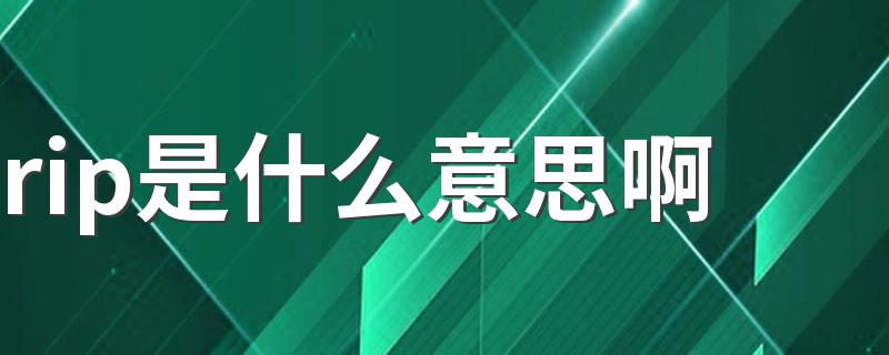 怎么理解rip的意思_rip是什么意思啊