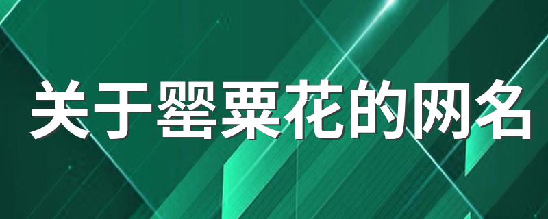 关于罂粟花的网名大全_关于罂粟花的网名