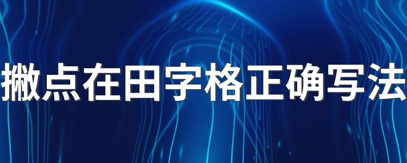 田字格各个部位的名称_撇点在田字格正确写法