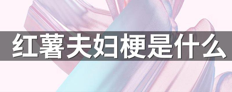 红薯夫妇梗意思是什么_红薯夫妇梗是什么