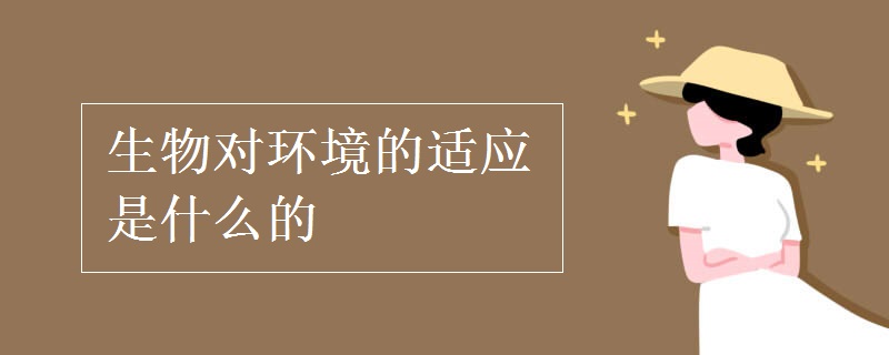 生物对环境的适应是什么的