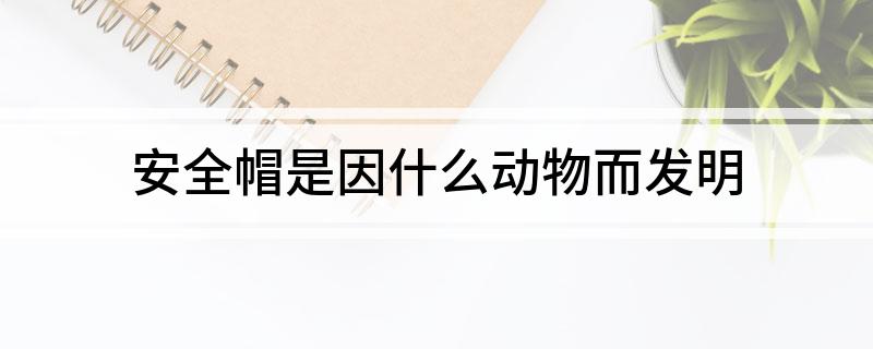 安全帽是因什么动物而发明