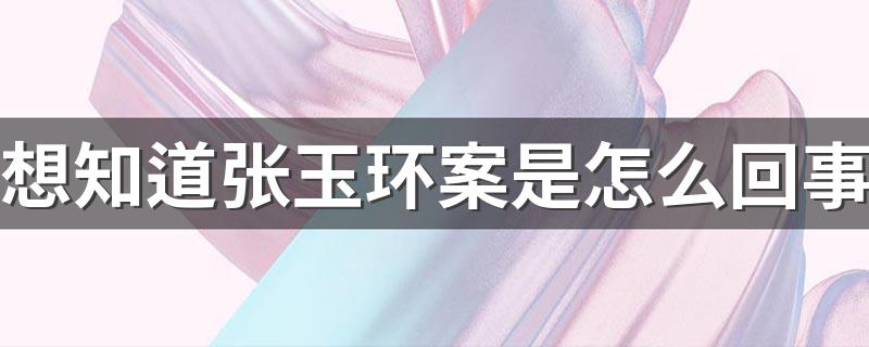 了解一下张玉环案_想知道张玉环案是怎么回事