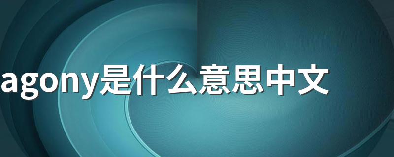 agony翻译_agony是什么意思中文