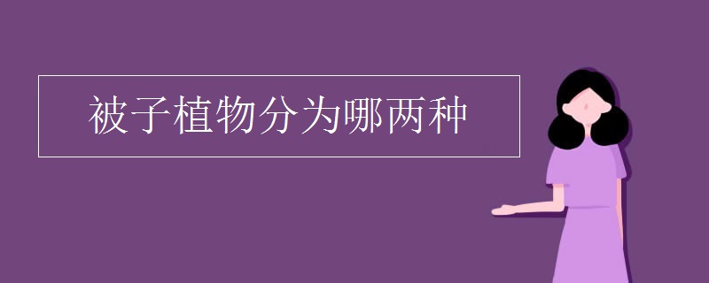 被子植物分为哪两种