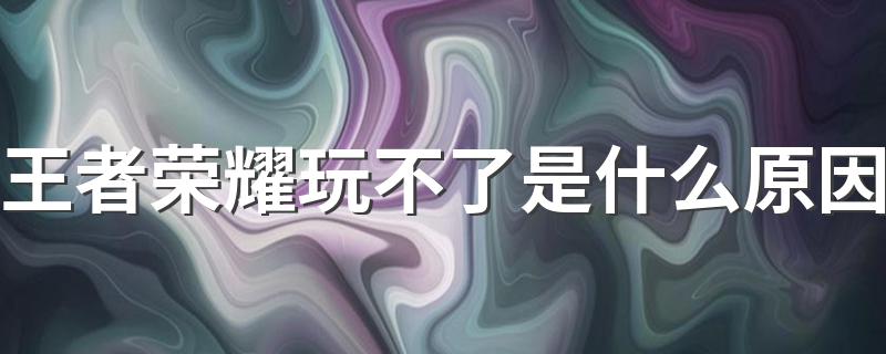 为什么王者荣耀不能正常玩了呢_王者荣耀玩不了是什么原因