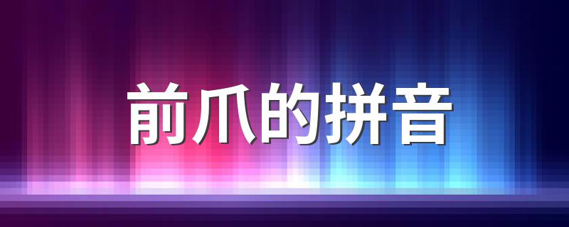 前爪的拼音简述_前爪的拼音