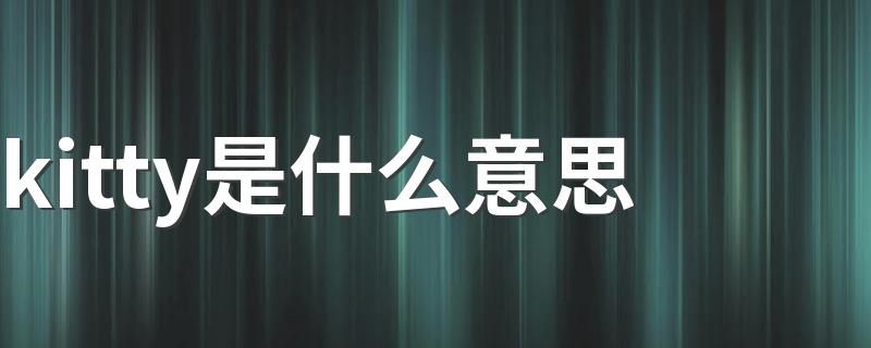kitty解释_kitty是什么意思