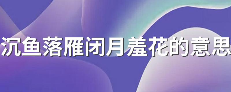 沉鱼落雁闭月羞花解释_沉鱼落雁闭月羞花的意思