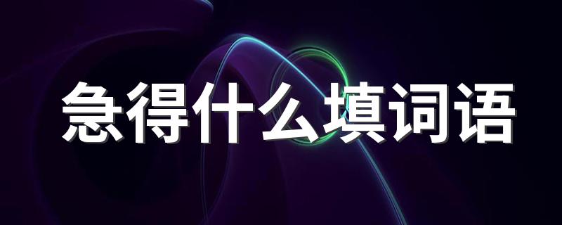 急得什么填词语举例_急得什么填词语